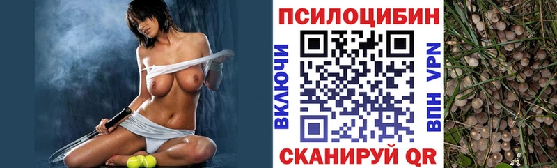 Купить Салаир Галлюциногенные грибы Psilocybe